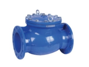 Check valve